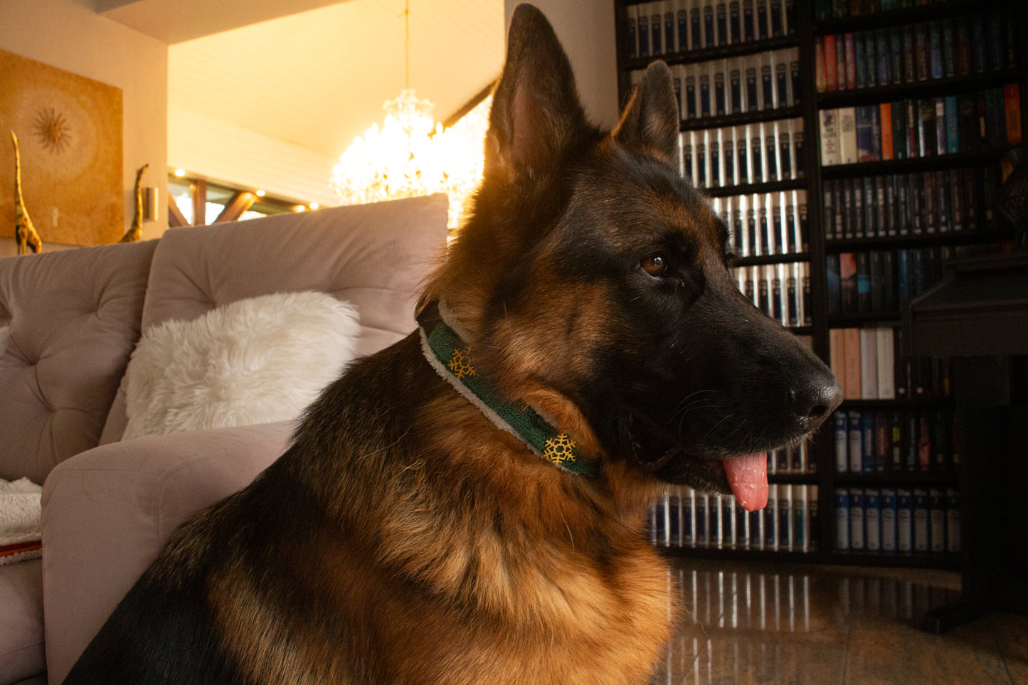 Halsband Weihnachtsstern Grün Weiß