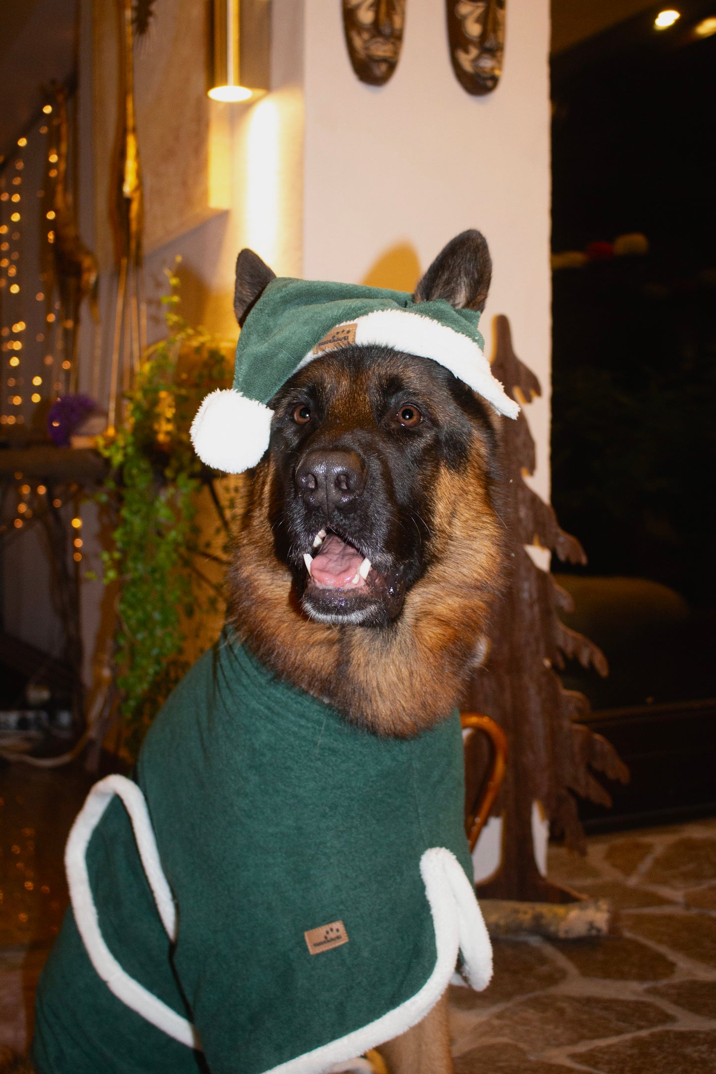 Hundemütze Weihnachtself Grün weiß