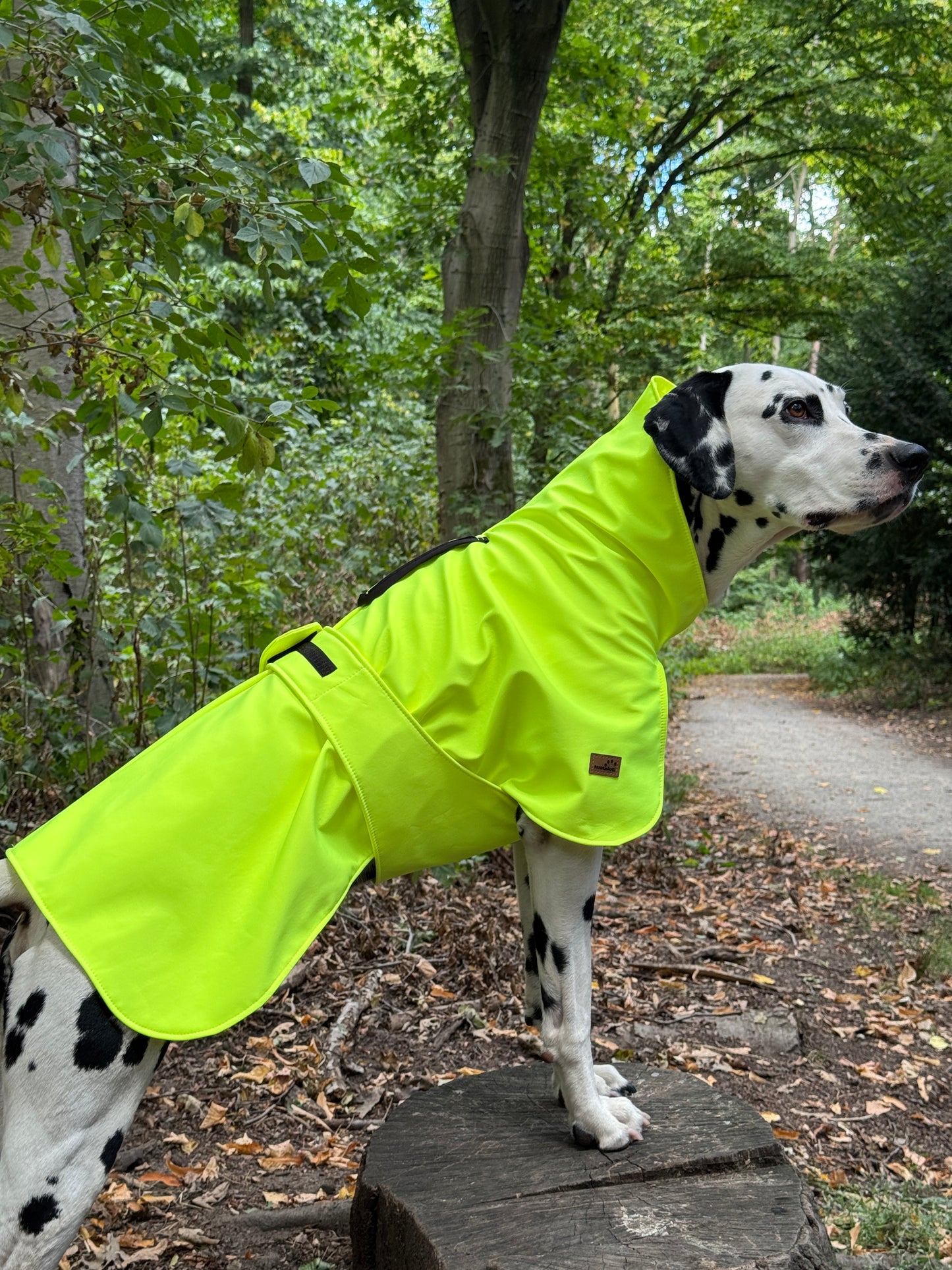 Hunde Regenmantel Neon