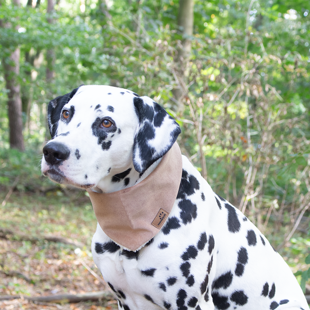 Hundehalstuch Cord Braun