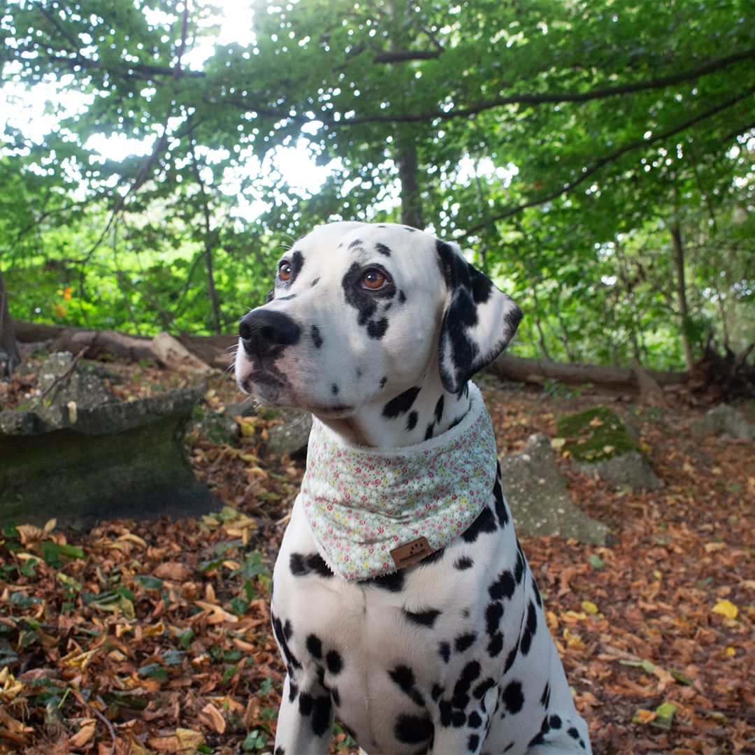 Hundehalstuch Grüne Wiese