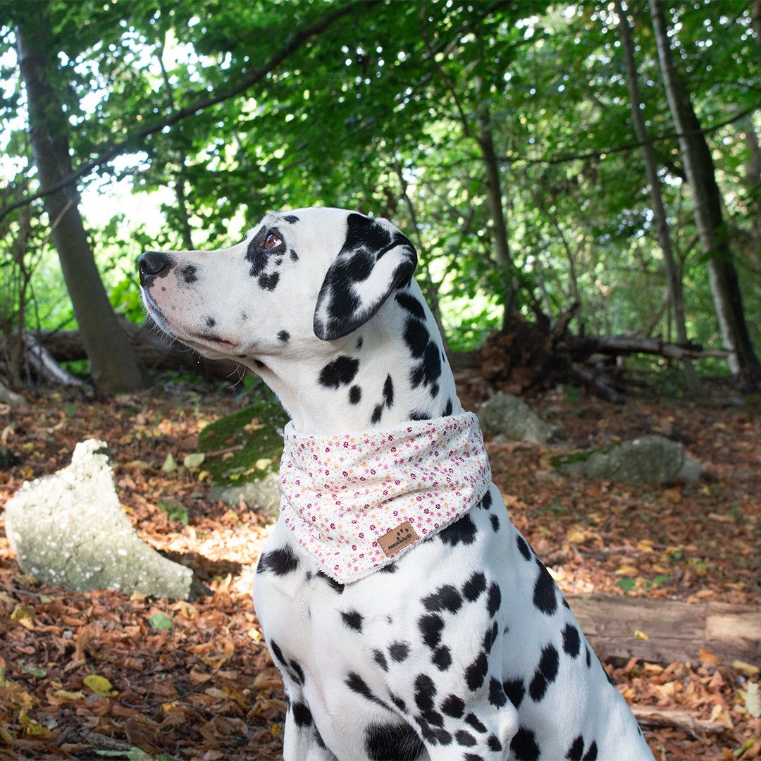 Hundehalstuch Rosa Wiese