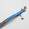 Leine Blau gummiert