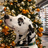 Halsband Weihnachtsstern Grün Weiß