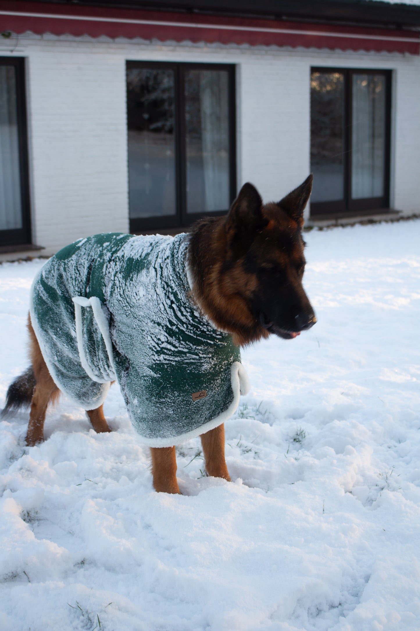 Hundebademantel Weihnachtself Grün weiß
