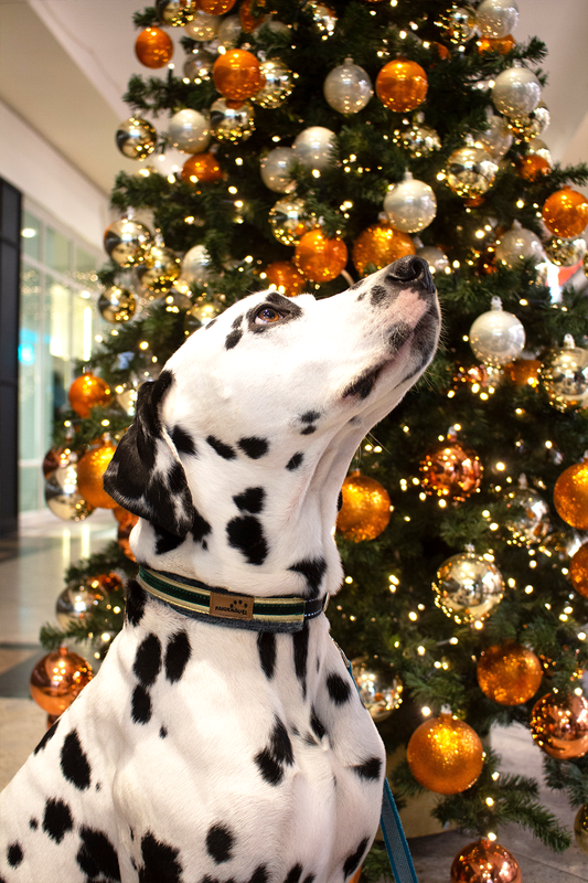 Halsband Weihnachtstraum Gold Grün Grau
