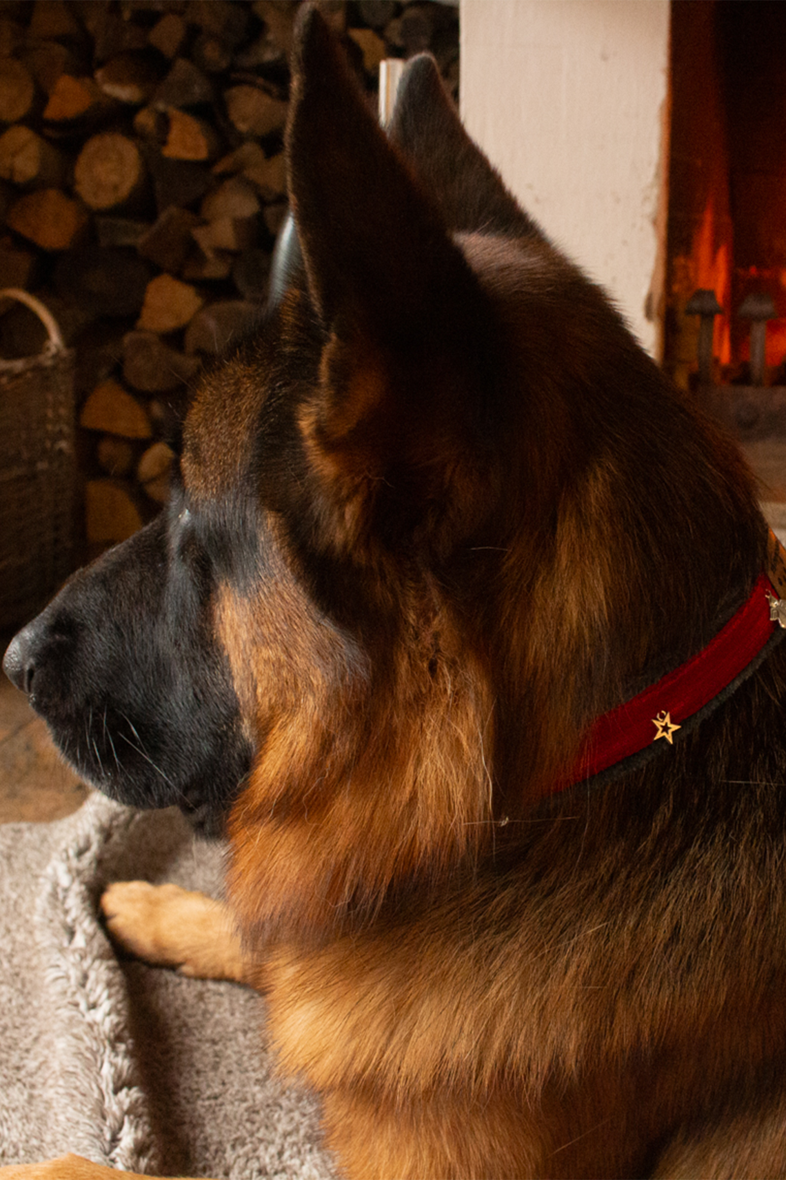 Halsband Weihnachtsengel Rot Grau