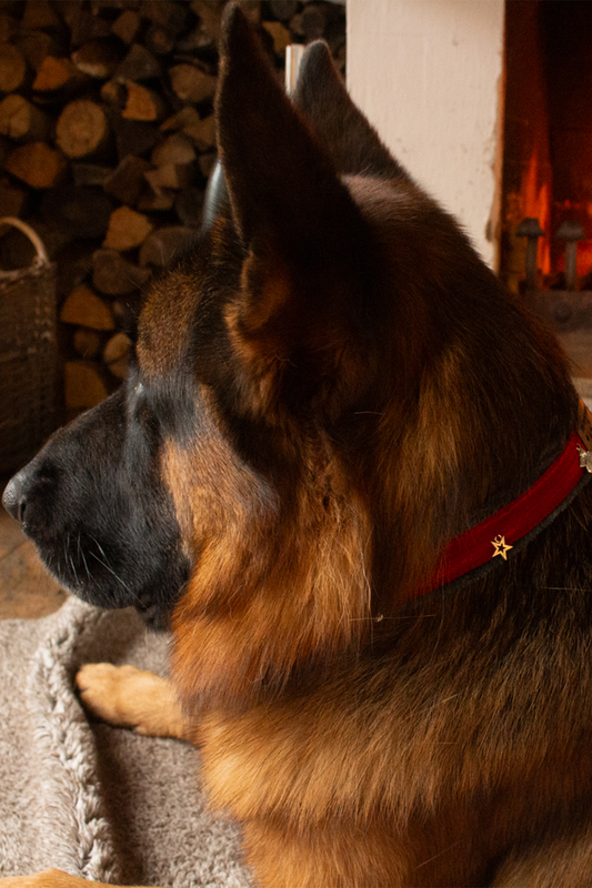 Halsband Weihnachtsengel Rot Grau