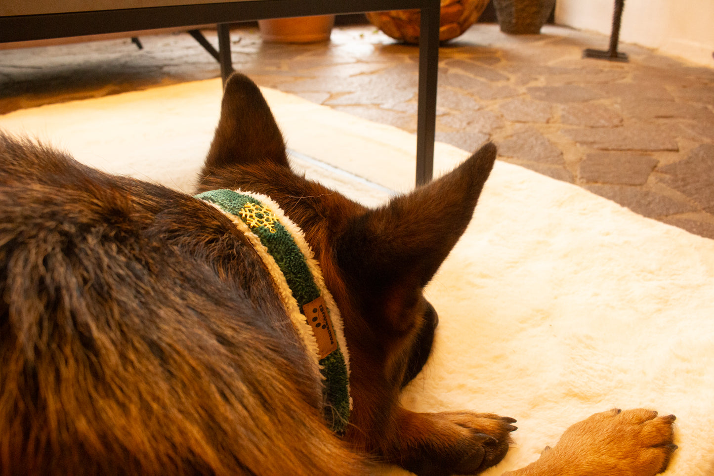 Halsband Weihnachtsstern Grün Weiß