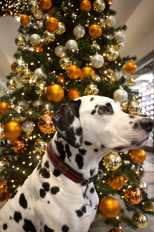 Halsband Weihnachtstraum Rot Grün Grau