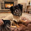 Fairknäuel Hundepullover