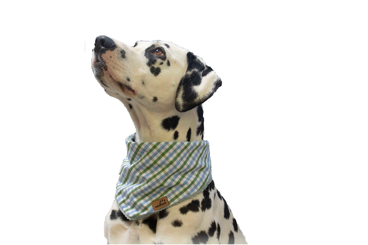 Hundehalstuch Karo Plüsch