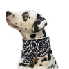 Hundehalstuch Blauer Wal Plüsch