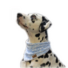 Hundehalstuch Babyblau Wal Plüsch