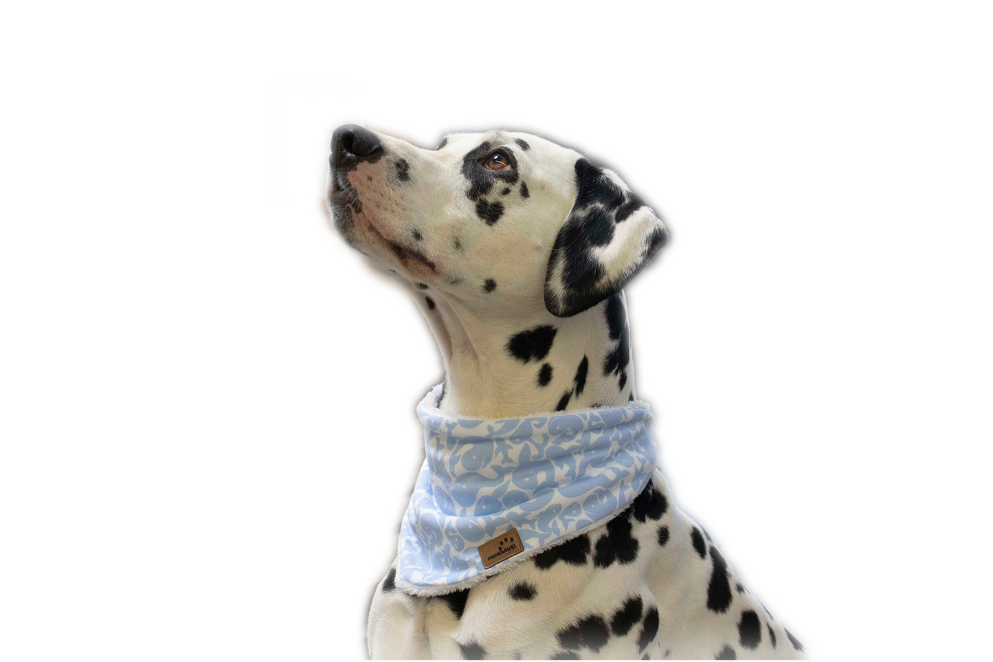Hundehalstuch Babyblau Wal Plüsch