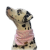 Hundehalstuch pinker Wal Plüsch