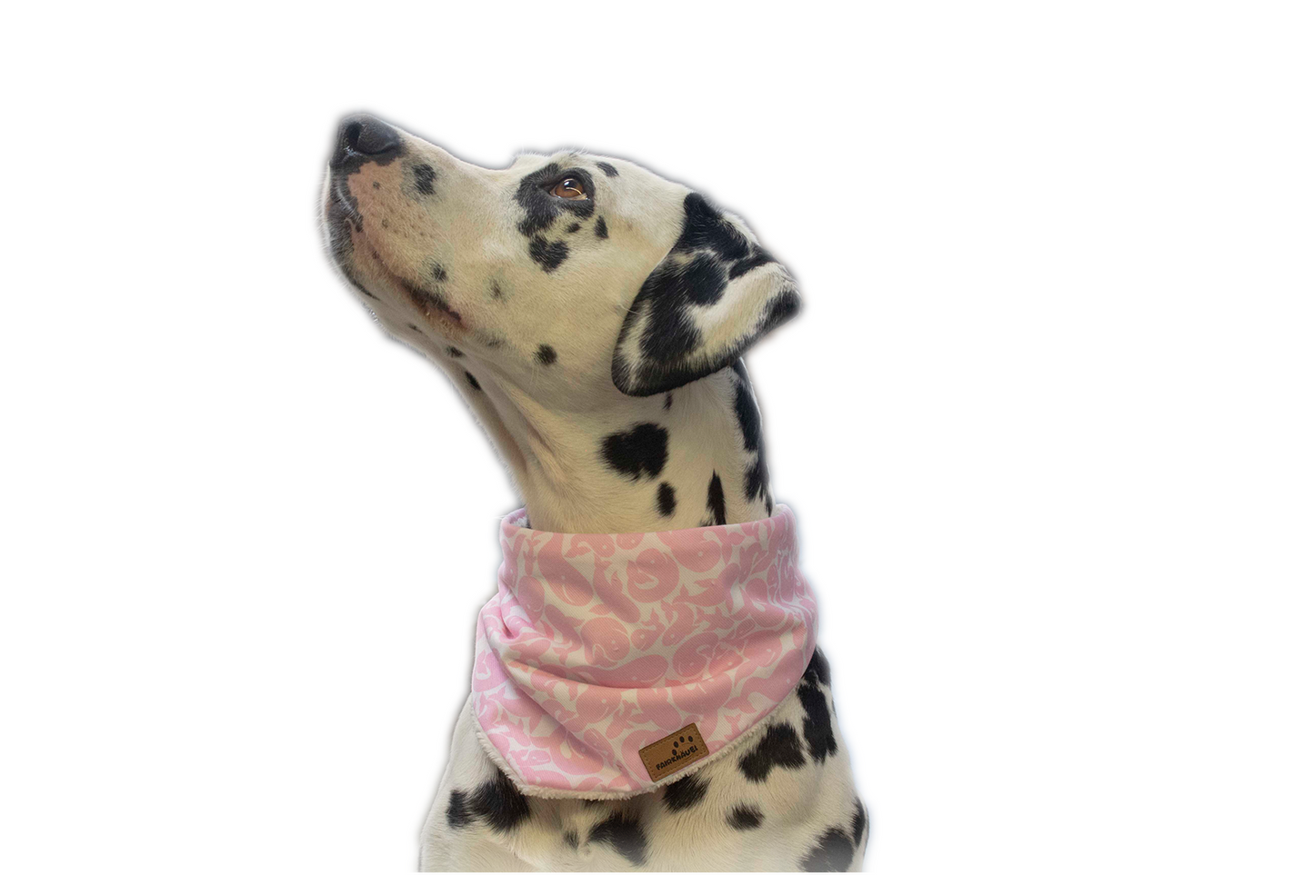 Hundehalstuch pinker Wal Plüsch