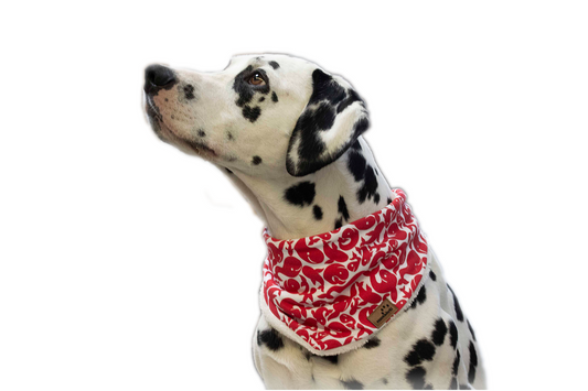 Hundehalstuch roter Wal Plüsch