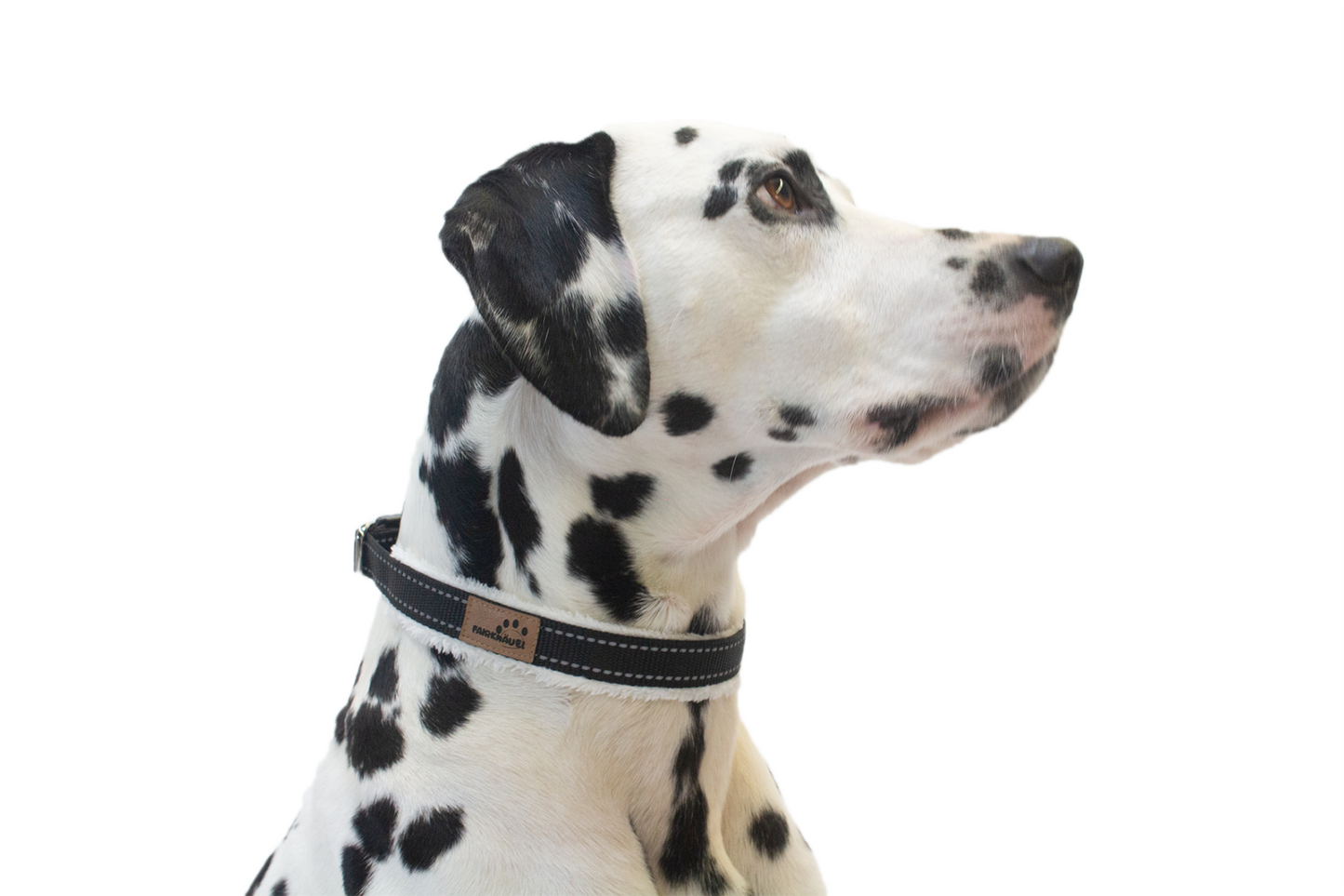 Halsband Schwarz Reflekt