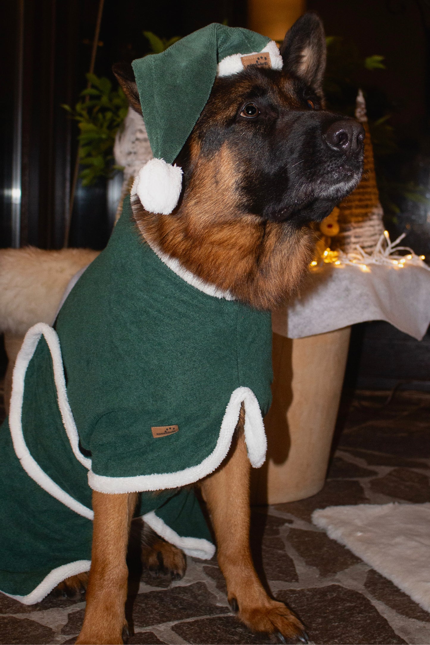 Hundemütze Weihnachtself Grün weiß