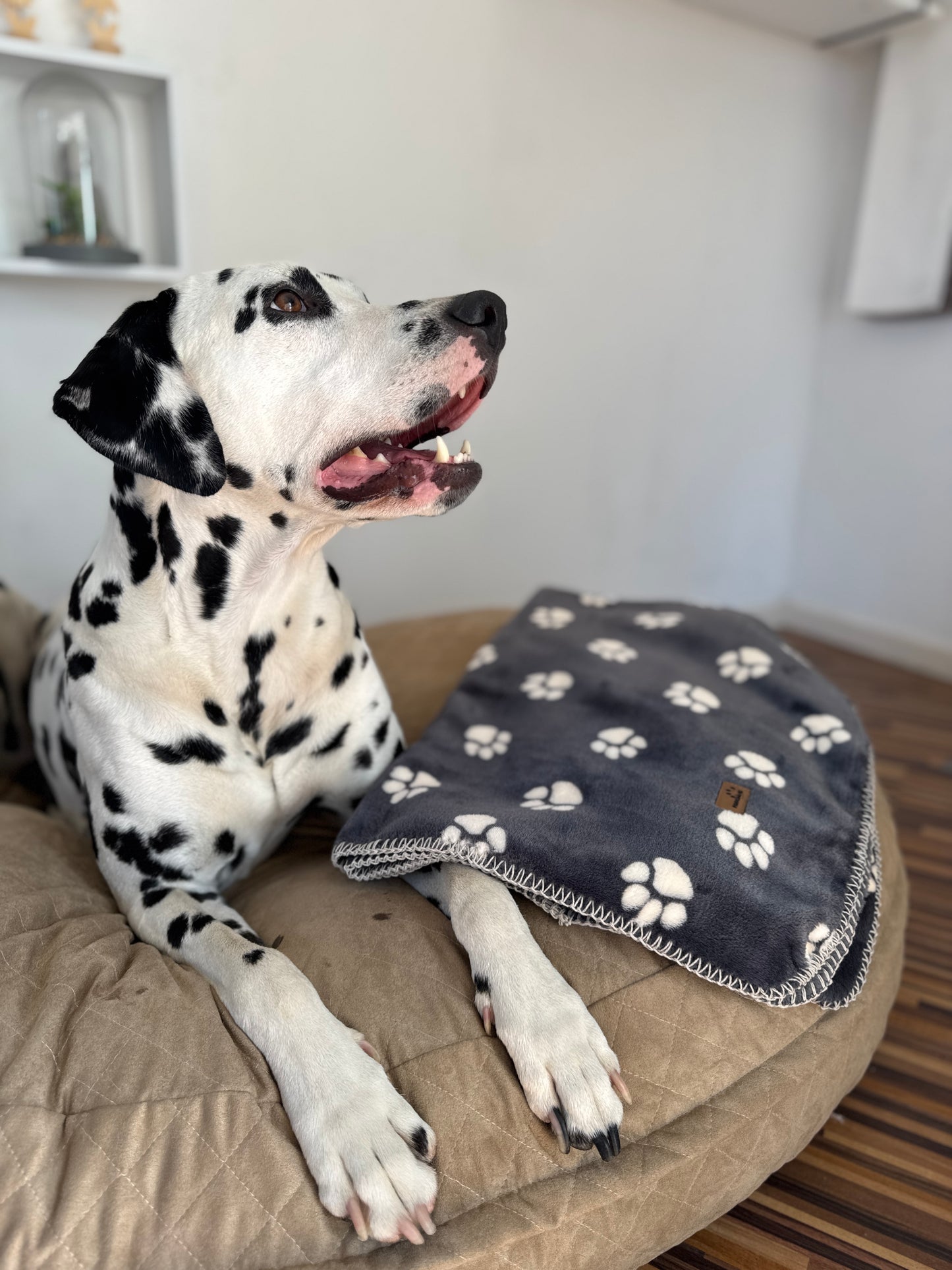 Fairknäuel Hundedecke