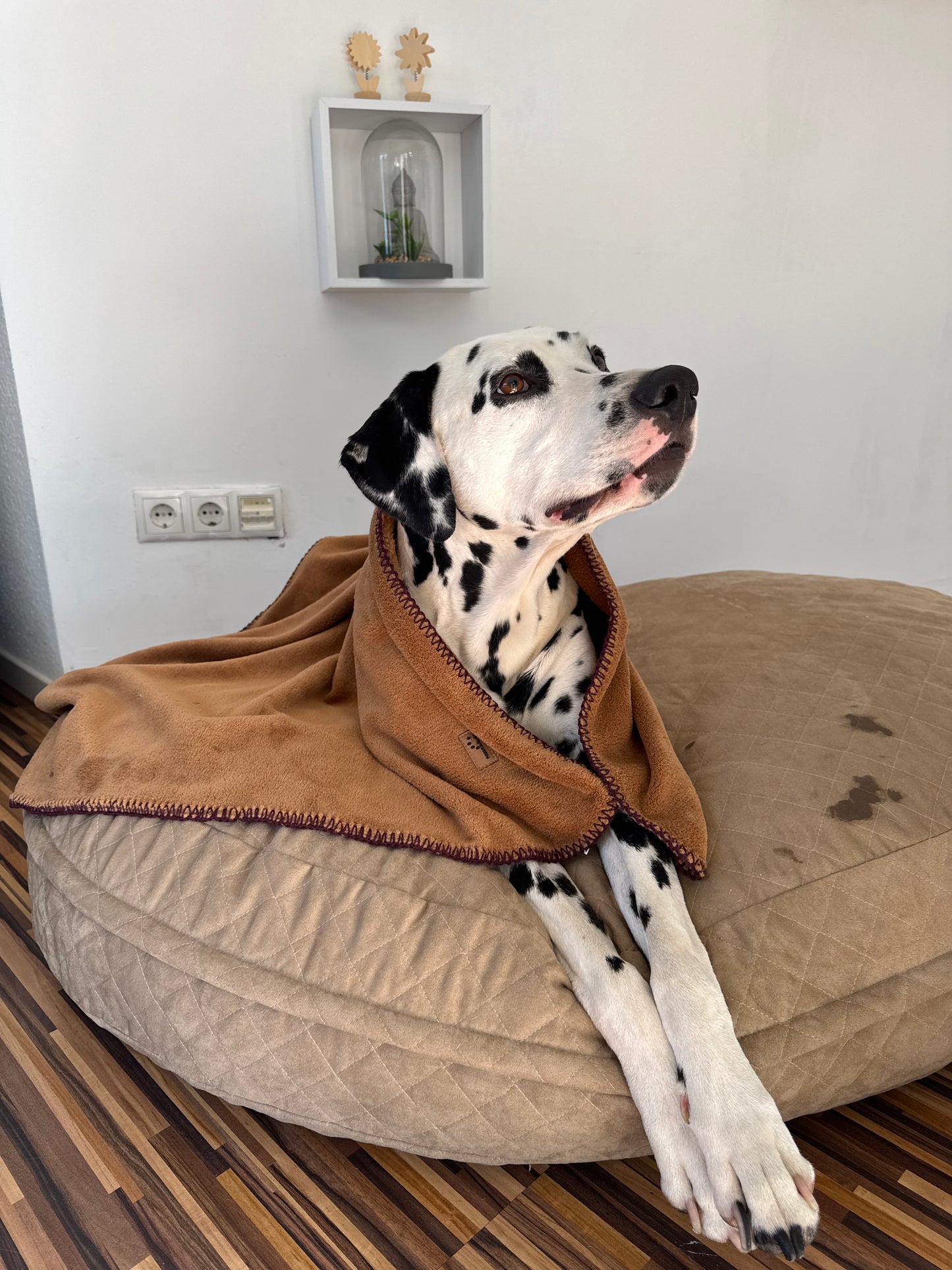 Fairknäuel Hundedecke