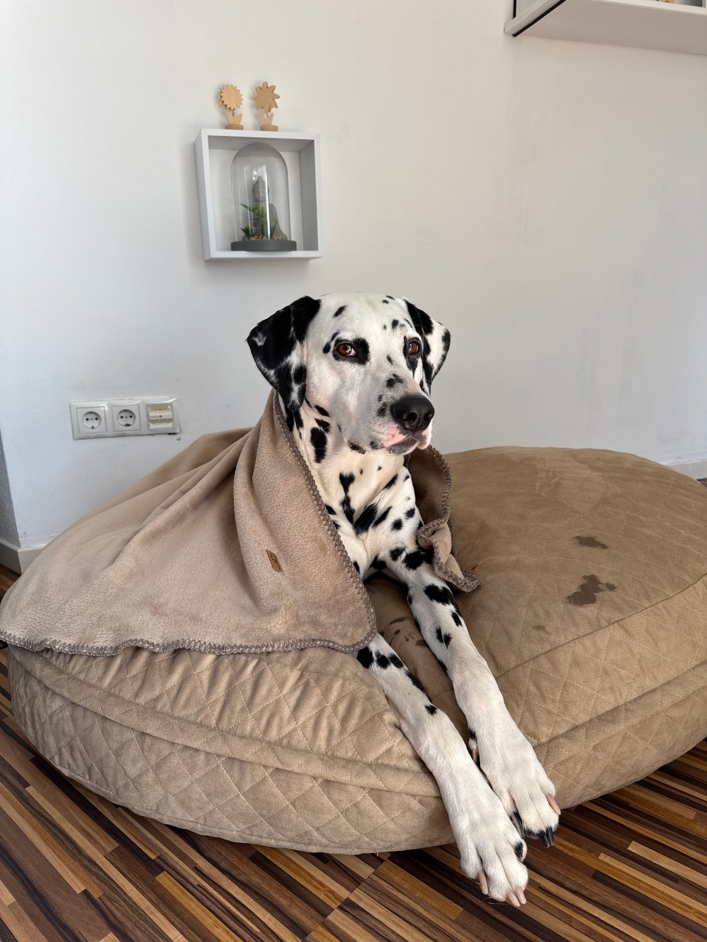 Fairknäuel Hundedecke