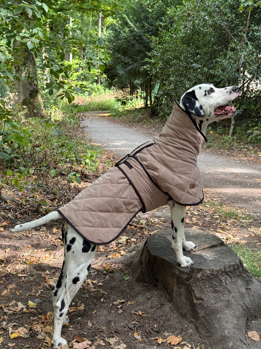 Hundemantel gesteppt