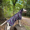 Hunde Regenmantel Purple Star