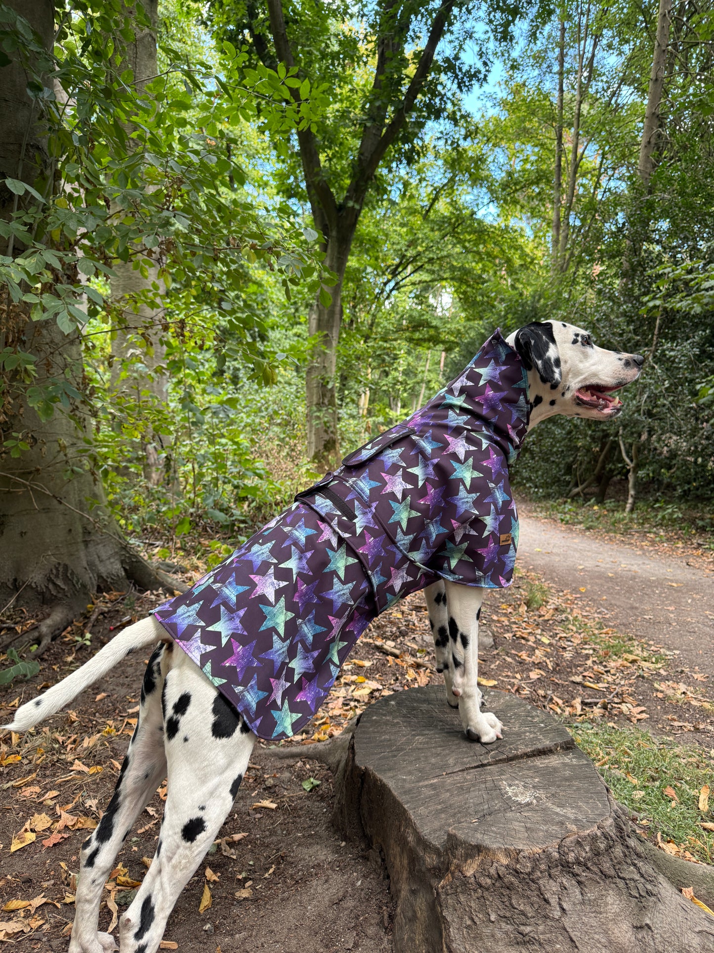 Hunde Regenmantel Purple Star