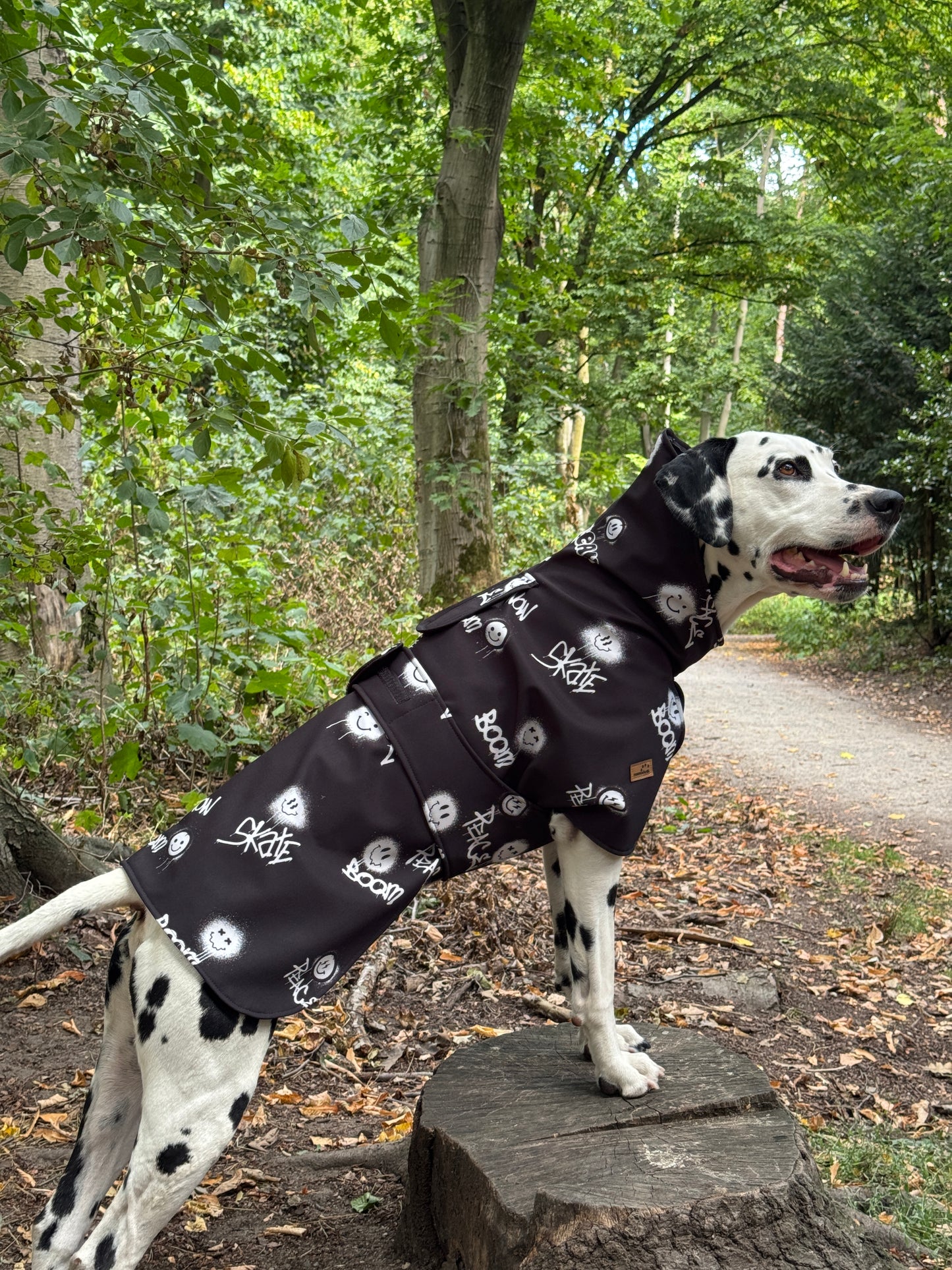 Hunde Regenmantel Back Rebel