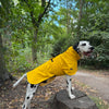 Hunde Regenmantel Friesennerz