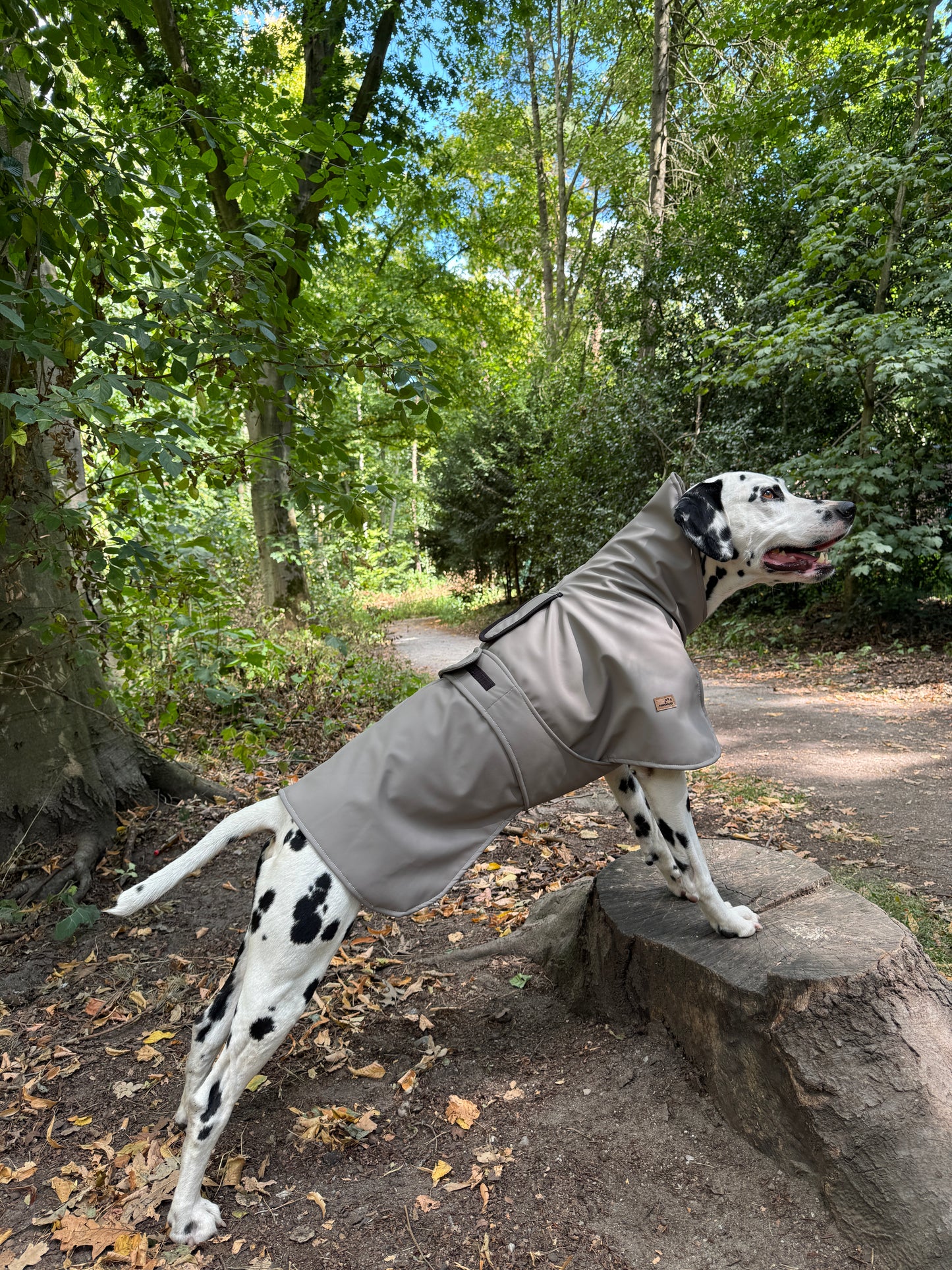 Hundemantel Kuschelwarm