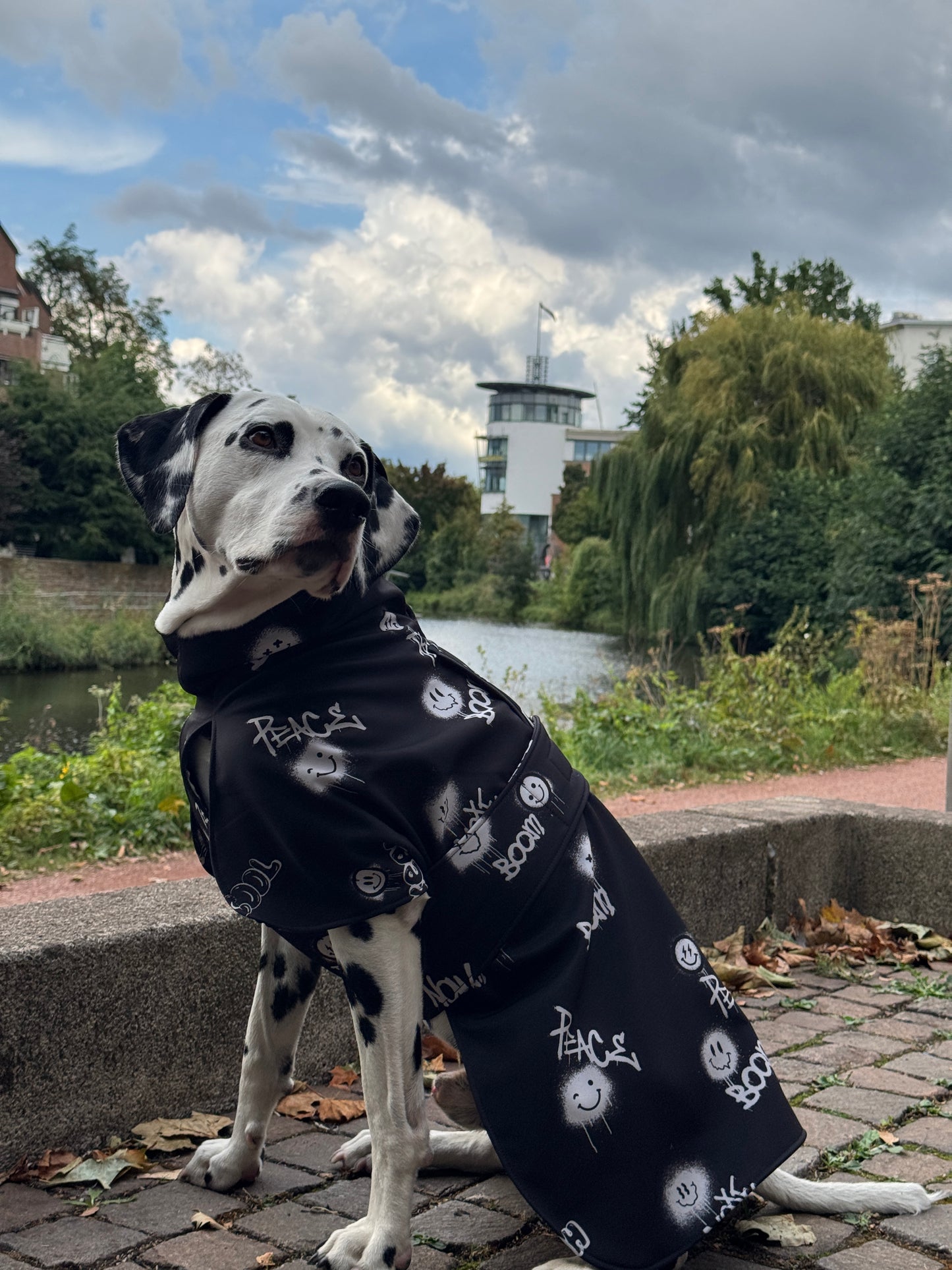 Hunde Regenmantel Back Rebel