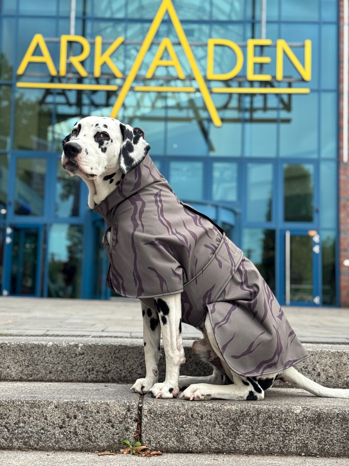 Hunde Regenmantel Waldgänger