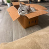 Katzenkarton