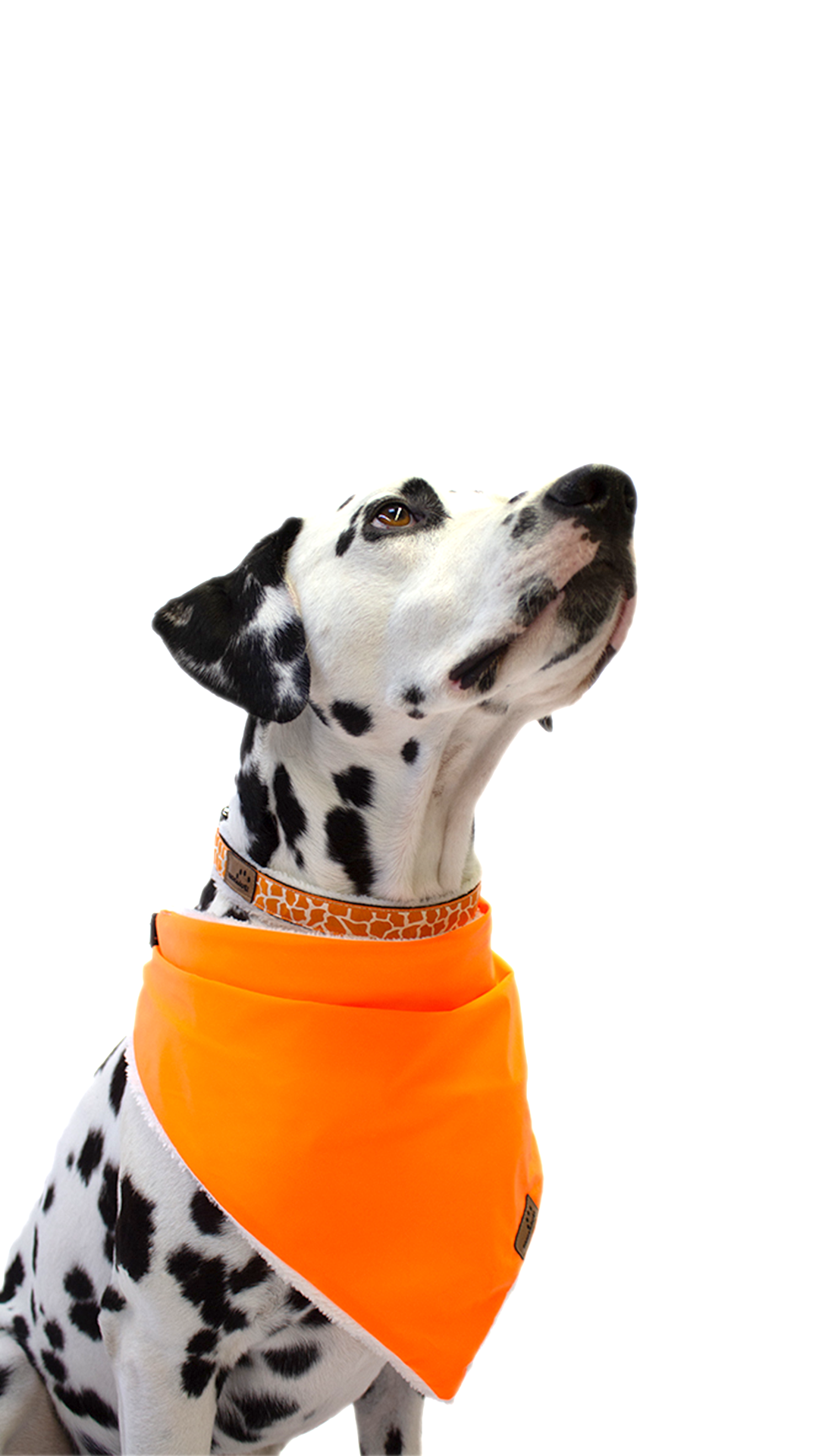 Reflektionstuch orange