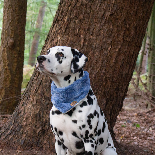 Hundehalstuch Plüsch Blau