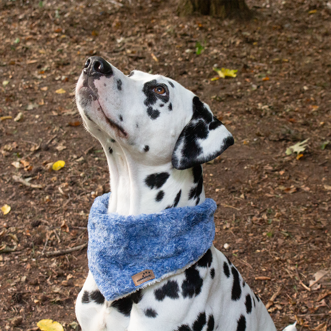 Hundehalstuch Plüsch Blau