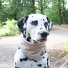 Hundehalstuch Nerz Beige