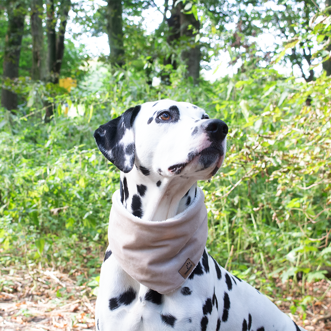 Hundehalstuch Nerz Beige