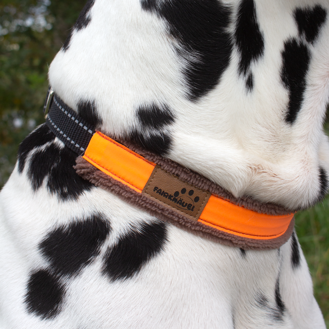 Halsband Plüsch Reflekt Orange / Braun
