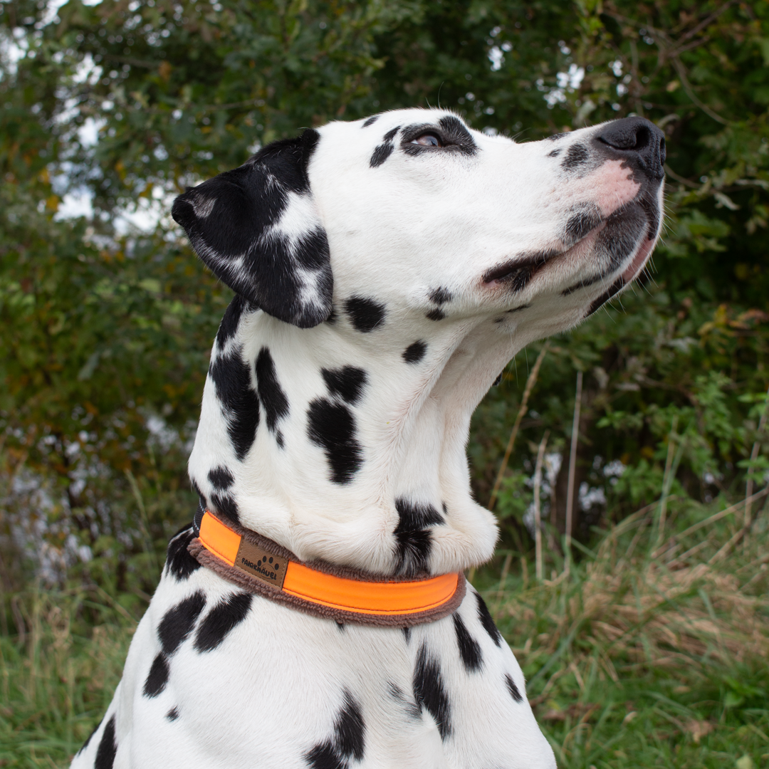 Halsband Plüsch Reflekt Orange / Braun