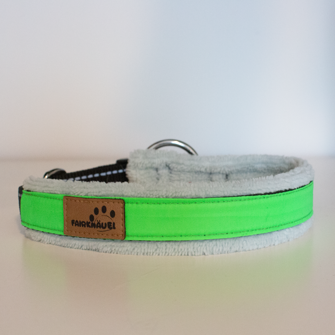 Halsband Plüsch Reflekt Grün / Blau